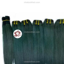 Vietnamese human straight bundles with closure - Green color weave hair