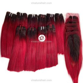 Two tone hair bundles with closure - #1b/99J