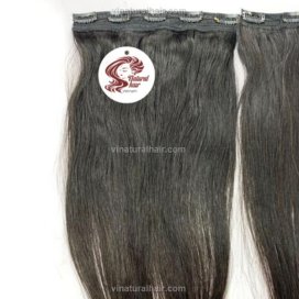 Vietnamese Natural Straight Clip-In Virgin Hair